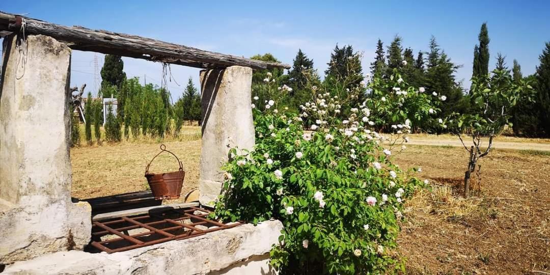 Le Cernicole Villa Melissano Exterior photo